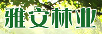 雅安林業